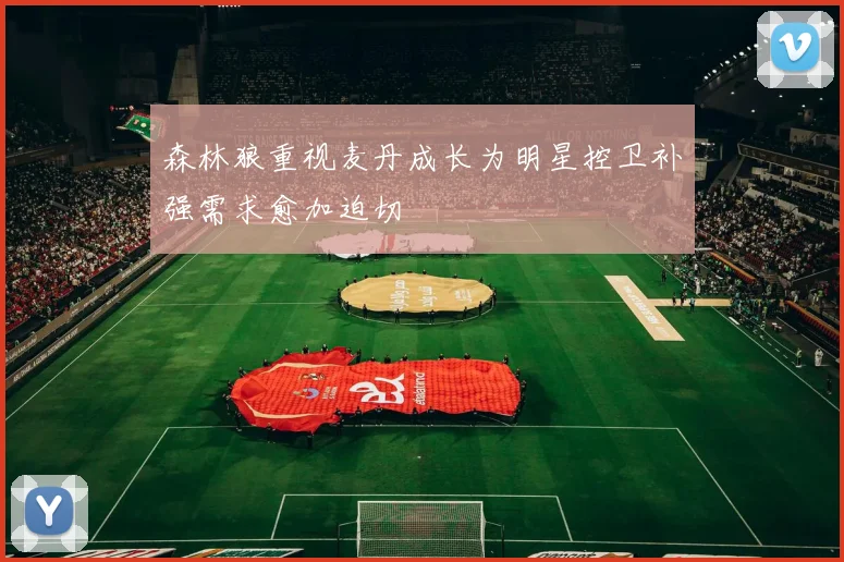 森林狼重视麦丹成长为明星控卫补强需求愈加迫切