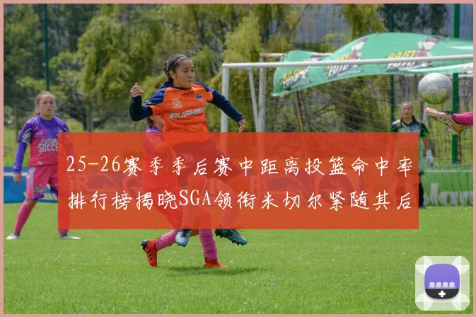 25-26赛季季后赛中距离投篮命中率排行榜揭晓SGA领衔米切尔紧随其后哈登位列第五